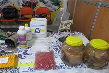 هشتمین  نمایشگاه دام،طیور،آبزیان و... -گیلان93