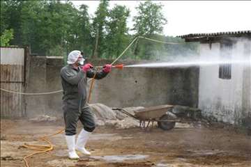 اقدامات پیشگیرانه اداره کل دامپزشکی گیلان علیه لمپی اسکین