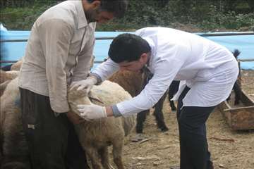 گيلان در روز عيد قربان