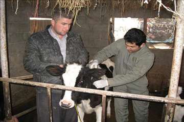 فعالیت های دامپزشکی گیلان در دهه فجر 1393