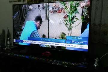 طرح ملی واکسیناسیون طیور روستایی گیلان بر علیه نیوکاسل (مرحله اول آذر 95)