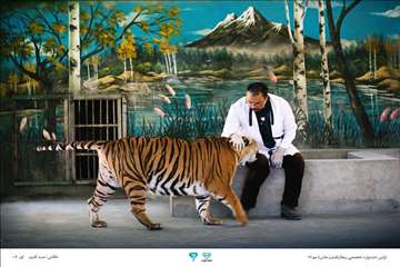 عکسهای منتخب جشنواره تخصصی بیطار