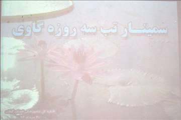 سمینار تب 3 روزه در گیلان