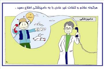 راههای پیشگیری از آنفلوانزای فوق حاد پرندگان