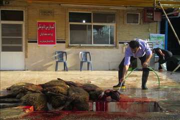 نظارت بهداشتی عید قربان به روایت تصویر(94)-گیلان