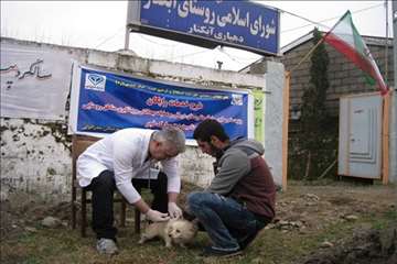 فعالیت های دامپزشکی گیلان در دهه فجر 1393