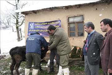 خدمات بهداشتی پیشگیری دامپزشکی گیلان -دهه فجر 94