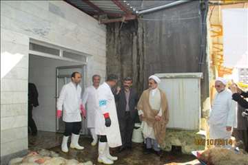 نظارت بهداشتی گیلان در روز عید سعید قربان(1393)