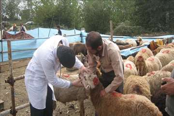 گيلان در روز عيد قربان