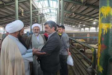 نظارت بهداشتی عید قربان 1395 گیلان به روایت تصویر