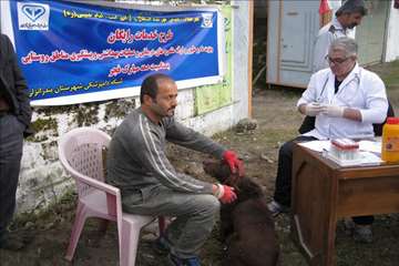 فعالیت های دامپزشکی گیلان در دهه فجر 1393