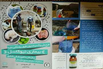 طرح ملی واکسیناسیون طیور روستایی گیلان بر علیه نیوکاسل (مرحله اول آذر 95)