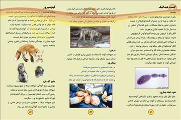 پملفتهای  بهداشتی