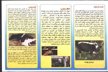 پمفلت های دامپزشکی گیلان 