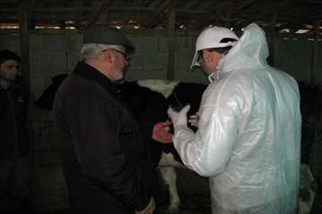 فعالیت های دامپزشکی گیلان در دهه فجر 1393