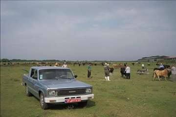 اقدامات پیشگیرانه اداره کل دامپزشکی گیلان علیه لمپی اسکین