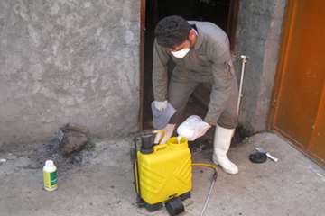 اقدامات پیشگیرانه اداره کل دامپزشکی گیلان علیه لمپی اسکین