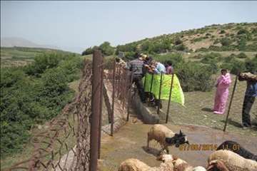 حمام ضد کنه  در مناطق ییلاقی گیلان