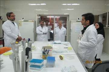 بازدید معاون تشخیص و درمان از آزمایشگاههای بخش دولتی استان گیلان