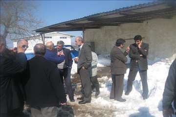 حضور رييس سازمان دامپزشكي و هيات همراه در مناطق برفگير گيلان