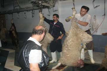 گيلان در روز عيد قربان