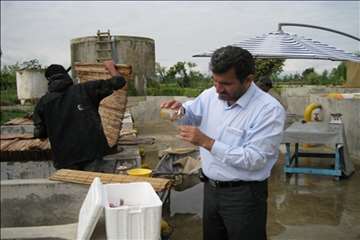 فعالیتهای اداره آبزیان گیلان