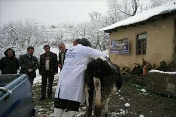 بازدید مدیر کل دامپزشکی گیلان از طرح تجمیع خدمات بهداشتی و دیدار با دامداران عشایر تالش