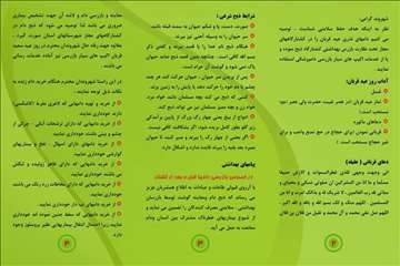 پملفتهای  بهداشتی