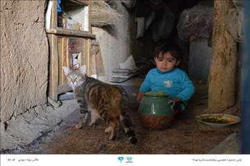 عکسهای منتخب جشنواره تخصصی بیطار