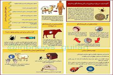 پیشگیری از CCHF