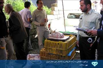 نمایشگاه عکس فعالیت های دامپزشکی