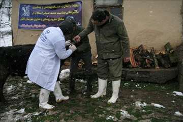 بازدید مدیر کل دامپزشکی گیلان از طرح تجمیع خدمات بهداشتی و دیدار با دامداران عشایر تالش