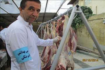 نظارت بهداشتی گیلان در روز عید سعید قربان(1393)