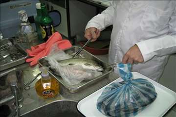 فعالیتهای اداره آبزیان گیلان