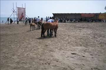 فعالیتهای شبکه دامپزشکی انزلی در جشنواره ملی اسب کاسپین