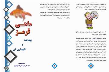 پملفتهای  بهداشتی