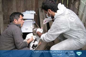 نمایشگاه عکس فعالیت های دامپزشکی