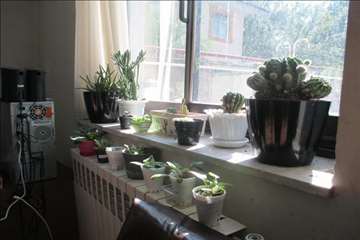 دیدار صمیمی مدیر کل با همکاران ( 4 شهریور 95 )