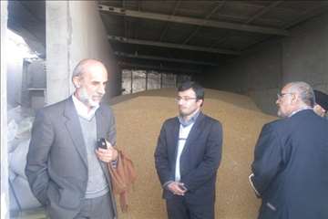 حضور رييس سازمان دامپزشكي و هيات همراه در مناطق برفگير گيلان