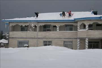 حضور رييس سازمان دامپزشكي و هيات همراه در مناطق برفگير گيلان
