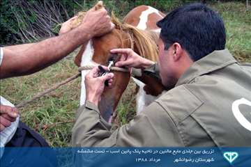 نمایشگاه عکس فعالیت های دامپزشکی