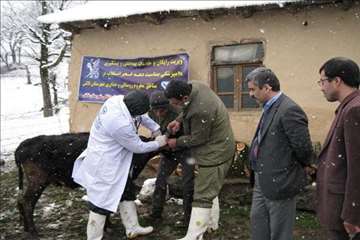 خدمات بهداشتی پیشگیری دامپزشکی گیلان -دهه فجر 94