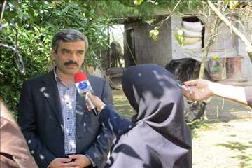 طرح تجمیع عملیات فنی دامپزشکی در مرز دشت خمام به مناسبت هفته دامپزشکی(13 مهر 95)