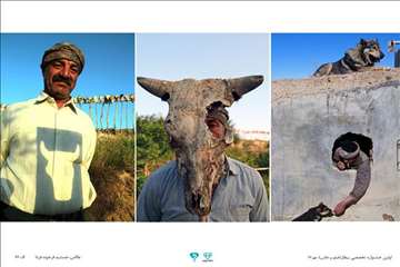 عکسهای منتخب جشنواره تخصصی بیطار