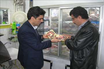 خدمات بهداشتی پیشگیری دامپزشکی گیلان -دهه فجر 94