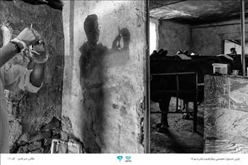 عکسهای منتخب جشنواره تخصصی بیطار