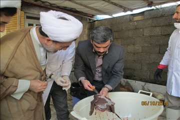 نظارت بهداشتی گیلان در روز عید سعید قربان(1393)