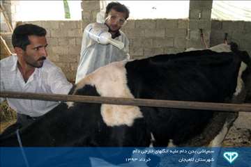 نمایشگاه عکس فعالیت های دامپزشکی