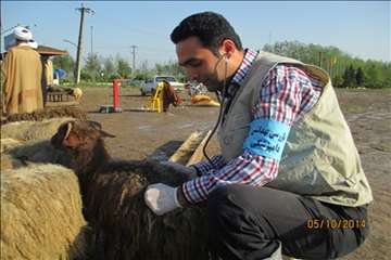 نظارت بهداشتی گیلان در روز عید سعید قربان(1393)