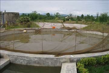 فعالیتهای اداره آبزیان گیلان